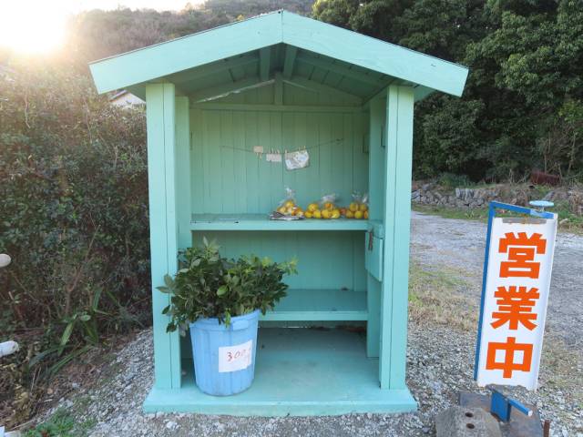 柑橘の無人販売